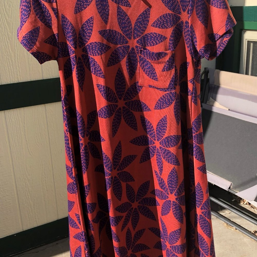 LulaRoe Dress